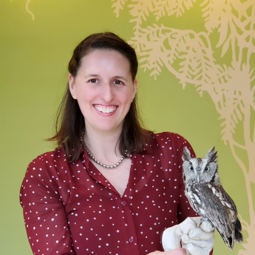 image of a white woman in a red dress on a green background. She is holding an owl.